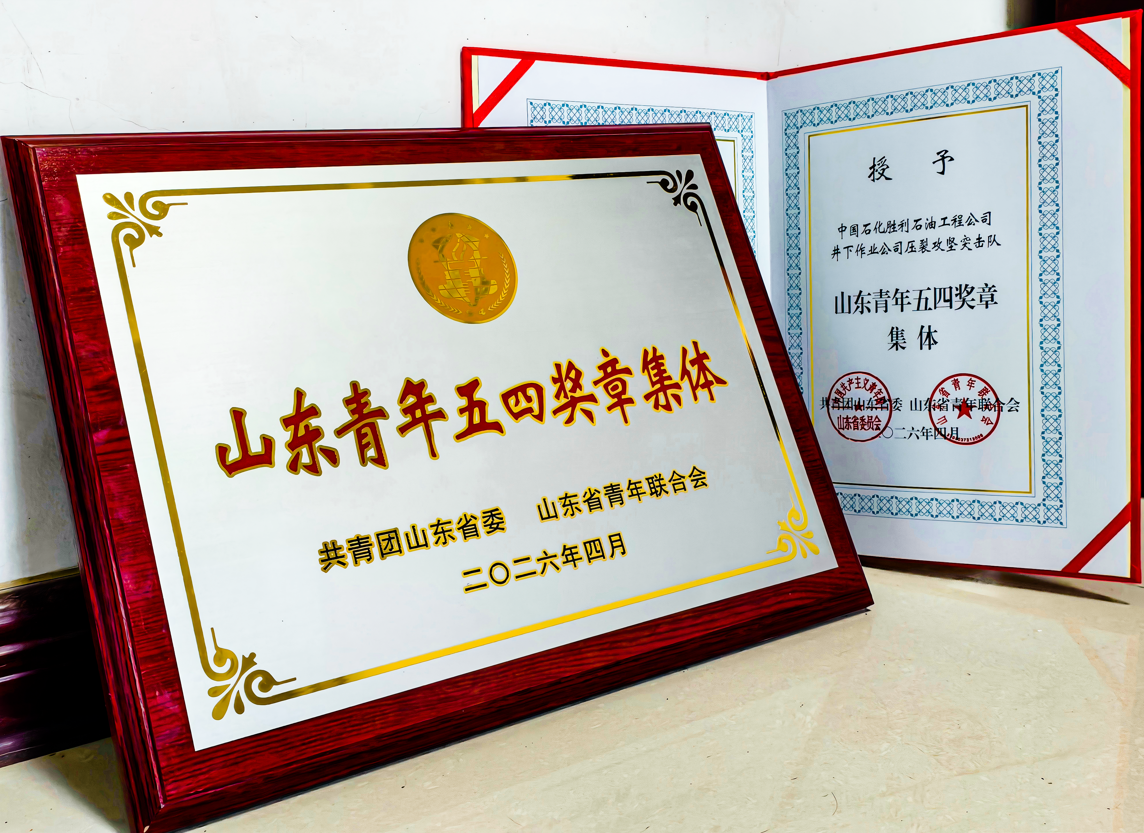 公司一集体荣获山东青年五四奖章